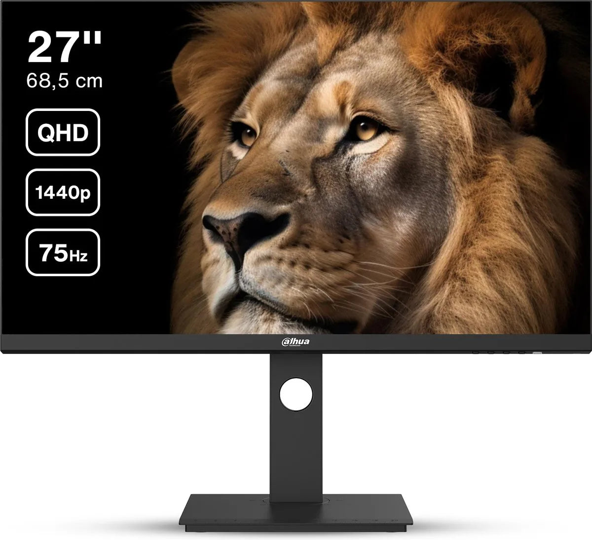 Dahua 27 inch LM27-P301A QHD IPS Monitor  75 Hz USB-C