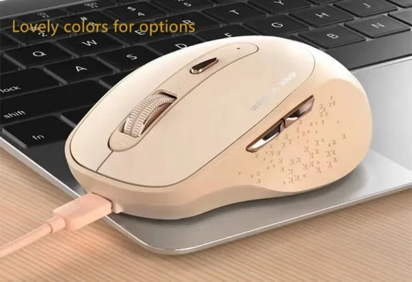 iMICE E1700 Ergonomic Rechargeable Wireless Silent Mouse