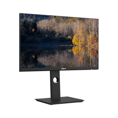 Dahua 24 inch LM24 QHD 75Hz P301A TFT